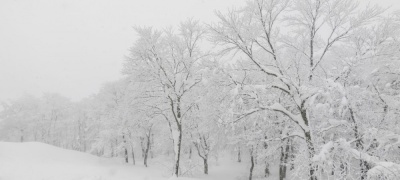 Borzalmasan hideg tél vár ránk! Íme a nagy 3 hónapos előrejelzés: decemberre, januárra, februárra!