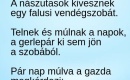 Vicc! A nászutasok kivesznek egy falusi vendégszobát, és napokig ki sem mozdulnak