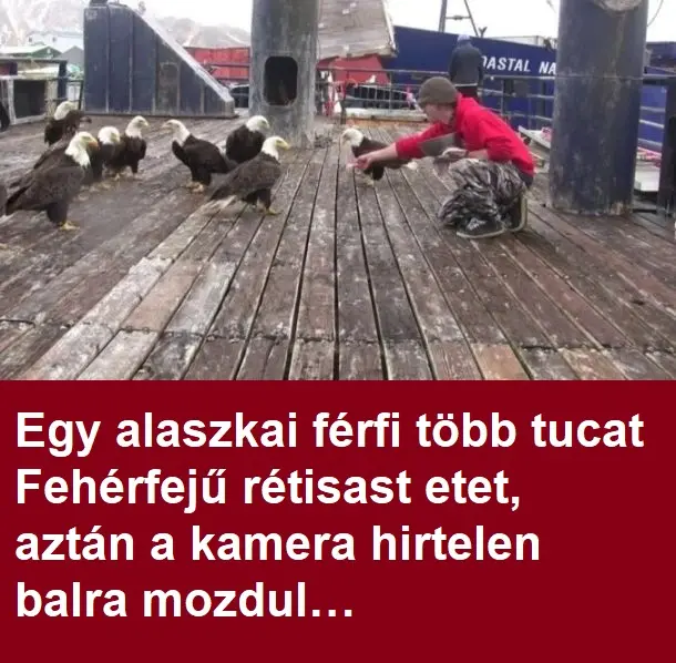 alaszkaiferfi0319 104349 678x381 1