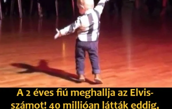 kisfiutanc0624 065801