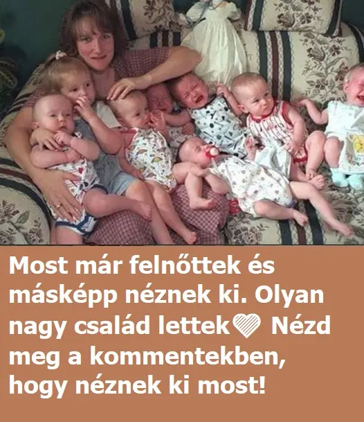 hetesiktrek 1406647678795233684 n