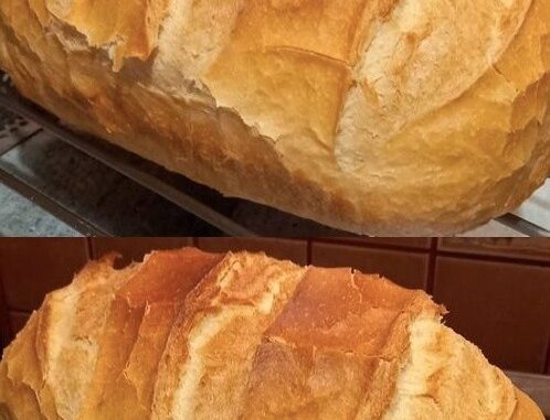 kenyer526 1219092 498x381