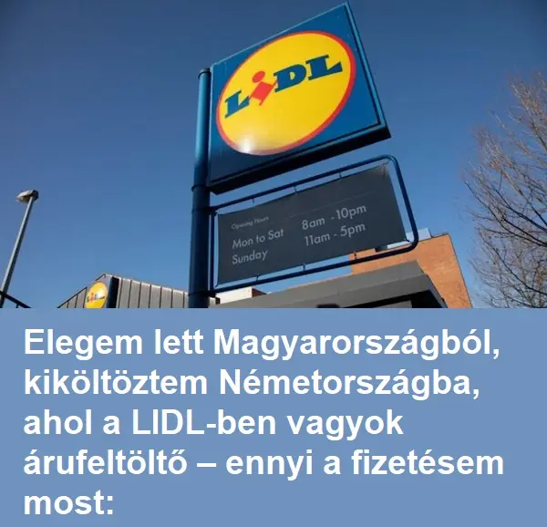 lidl7 n