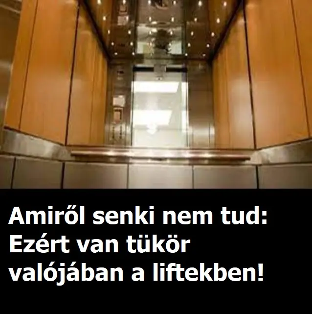 miertvantukoraliftben6z7u