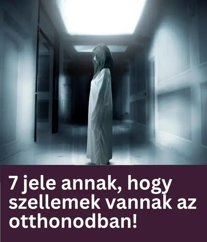 szellemotthon560 n