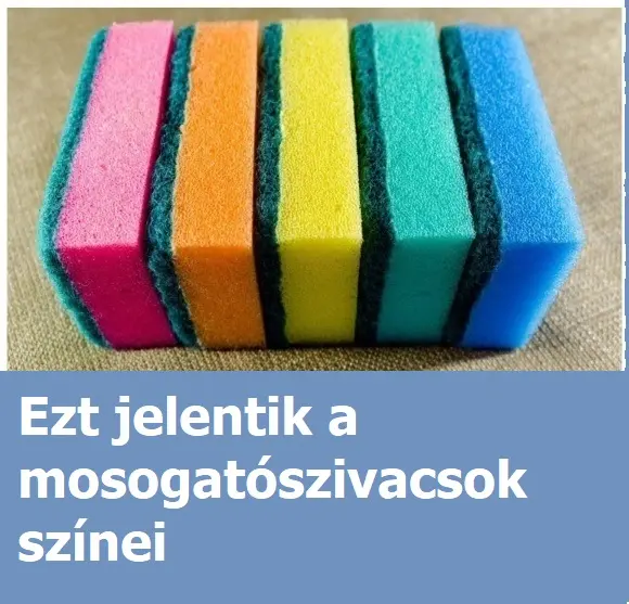 szivacs343545sdfrgthzu5