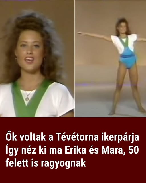 tvtorna1