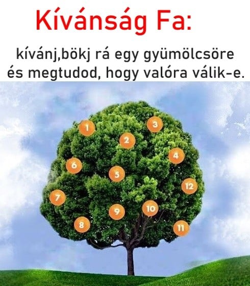 kivansagfa214847980 n