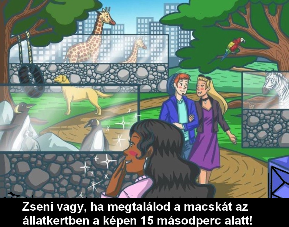 macska15masodpercaaltt