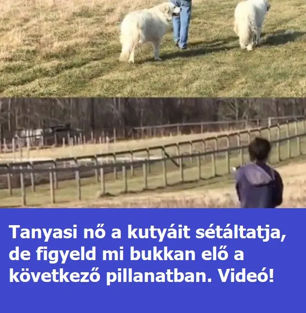 tanyasino 170453 526x381