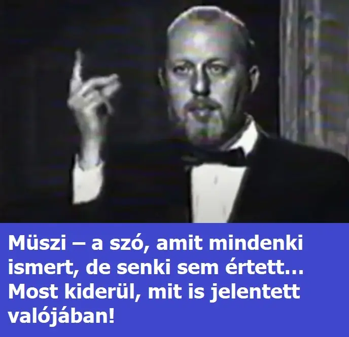 muszi a reklam0x674