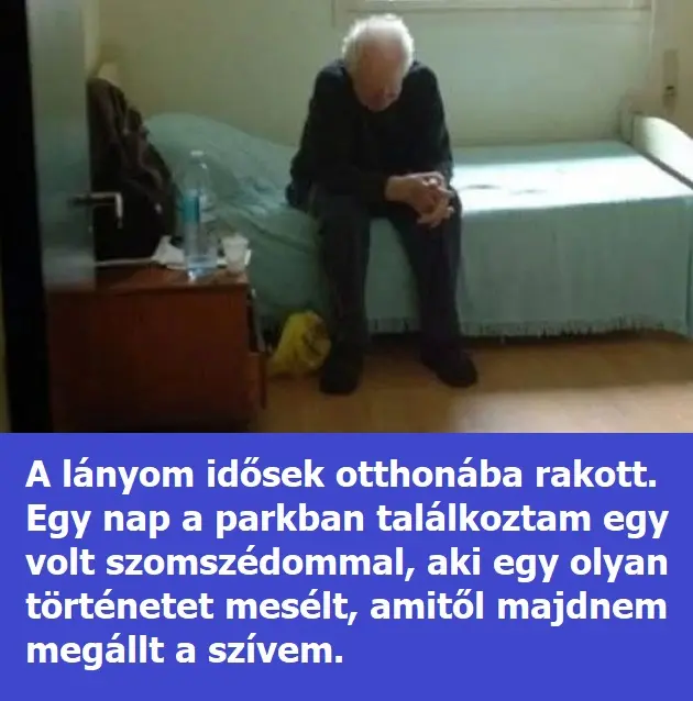 lanyom 4050152588771113549 n 526x381